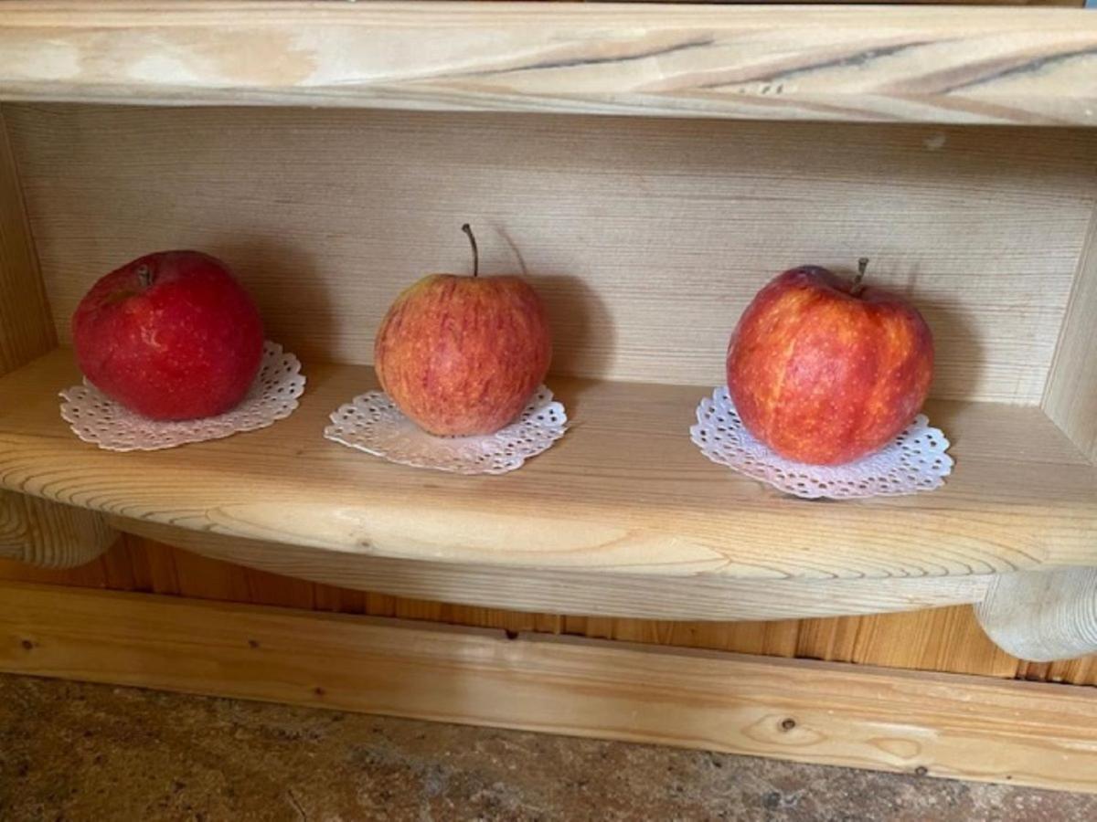 Alpenappartements Schwalbennestl Mittenwald Eksteriør billede